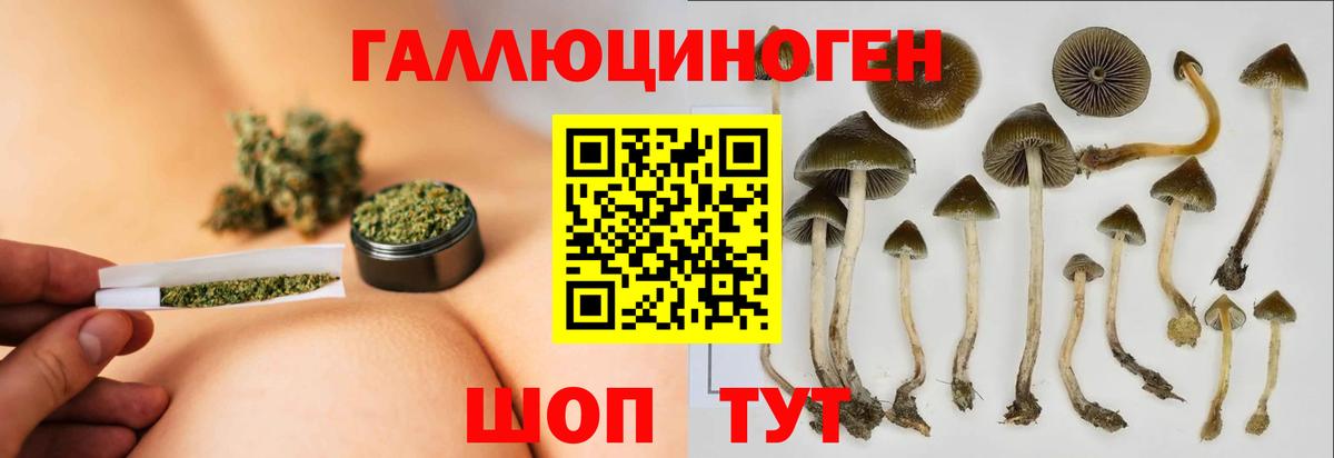 Галлюциногенные грибы прущие грибы  Вход с VPN  где можно купить наркотик  Алушта 